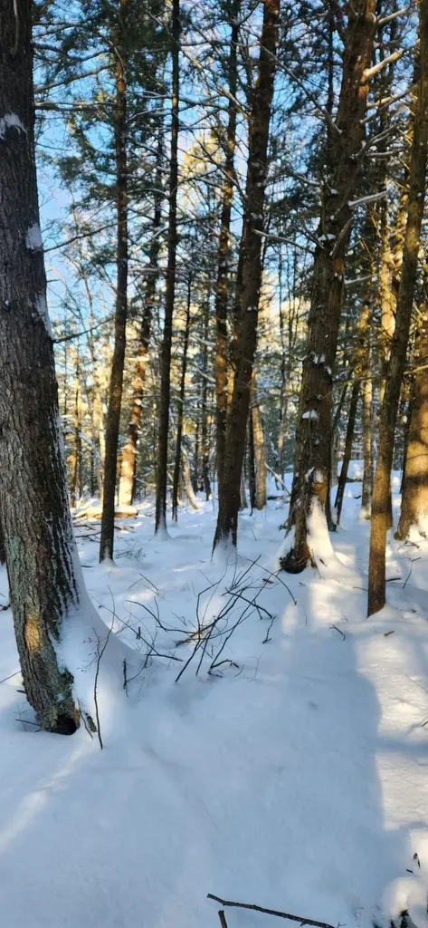 2051 Sheldon Woods Road Fairfield VT 05455