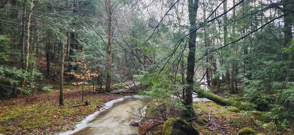 2051 Sheldon Woods Road Fairfield VT 05455