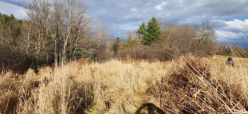 2051 Sheldon Woods Road Fairfield VT 05455