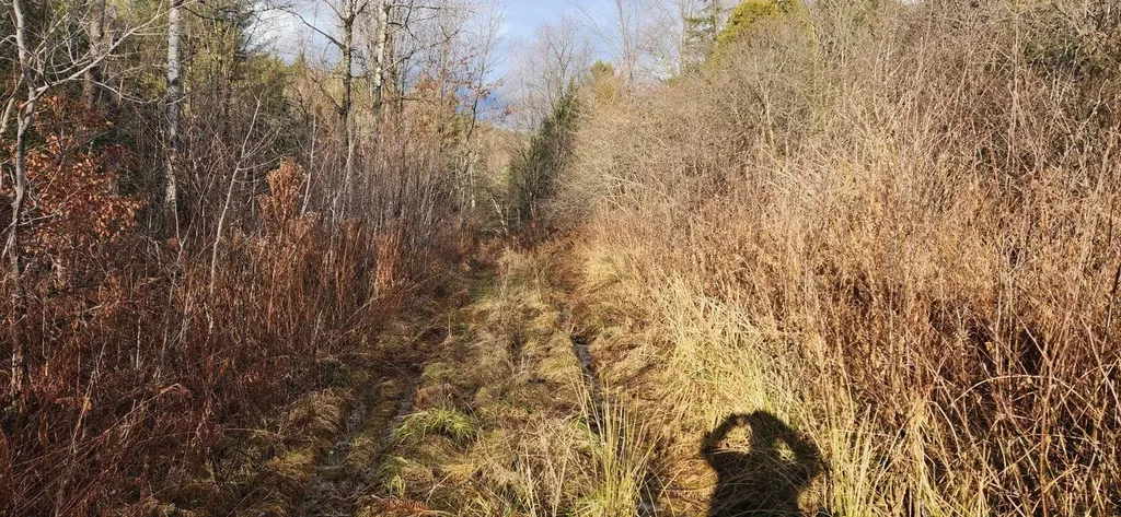 2051 Sheldon Woods Road Fairfield VT 05455