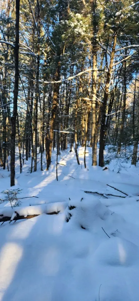 2051 Sheldon Woods Road Fairfield VT 05455