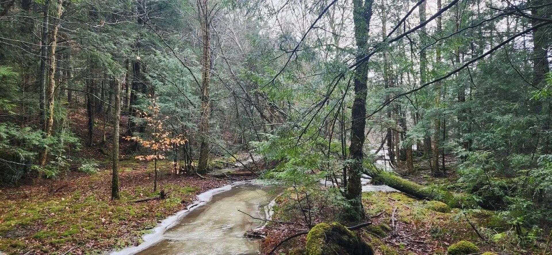 2051 Sheldon Woods Road Fairfield VT 05455