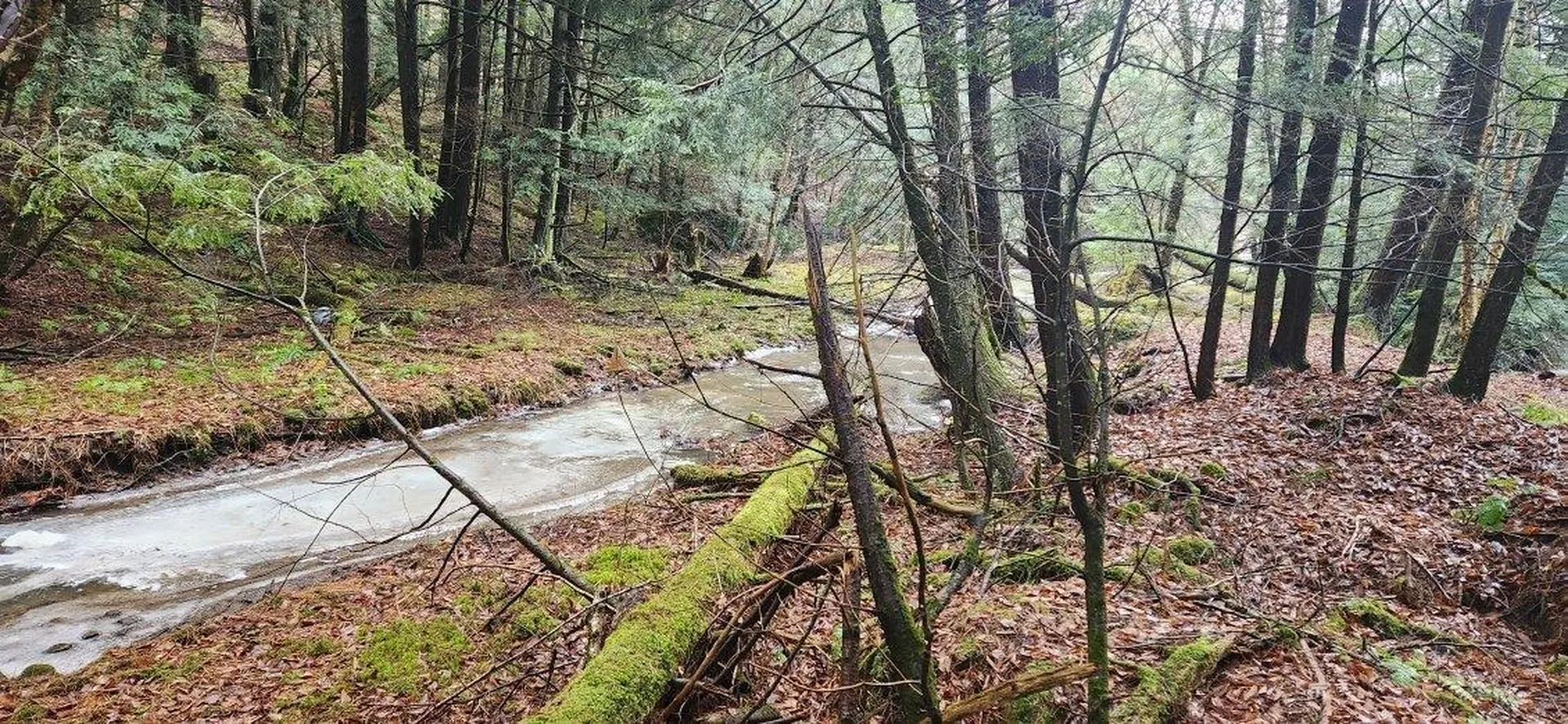 2051 Sheldon Woods Road Fairfield VT 05455