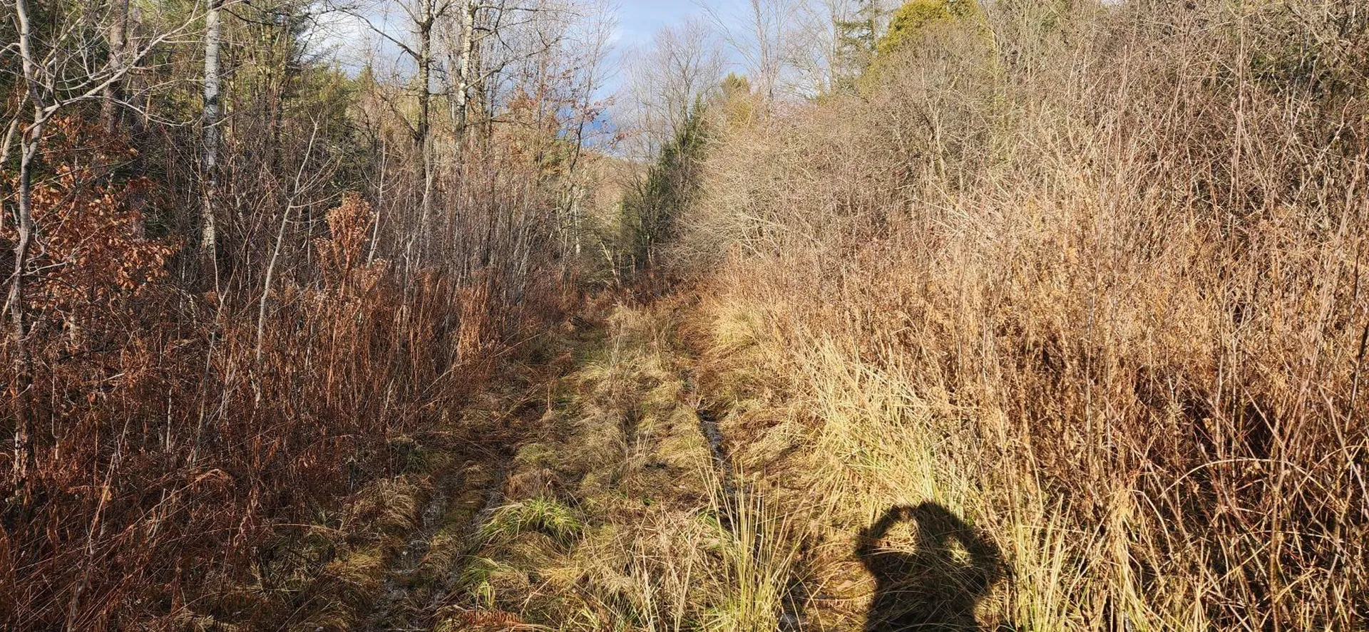 2051 Sheldon Woods Road Fairfield VT 05455