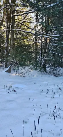 2051 Sheldon Woods Road Fairfield VT 05455