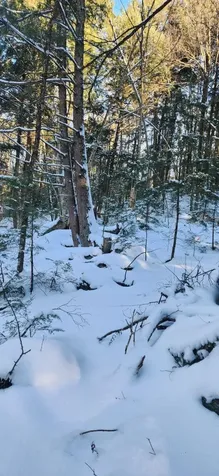 2051 Sheldon Woods Road Fairfield VT 05455