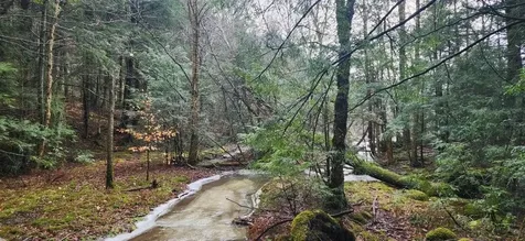 2051 Sheldon Woods Road Fairfield VT 05455