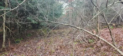 2051 Sheldon Woods Road Fairfield VT 05455