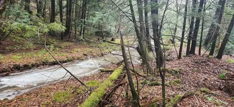 2051 Sheldon Woods Road Fairfield VT 05455