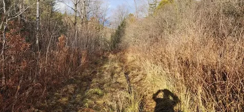 2051 Sheldon Woods Road Fairfield VT 05455