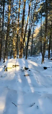 2051 Sheldon Woods Road Fairfield VT 05455