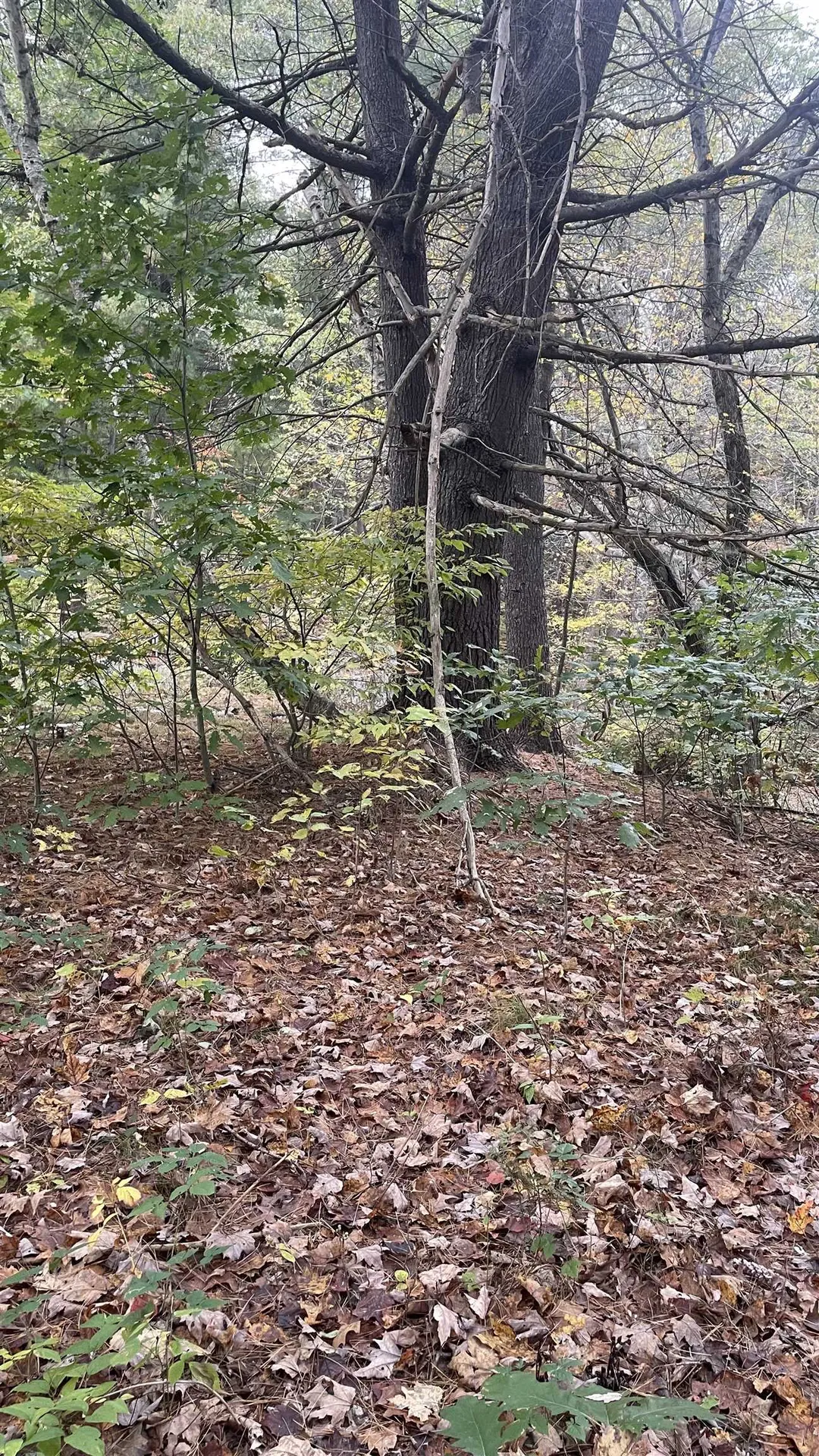 91 Whittemore Road Pembroke NH 03275