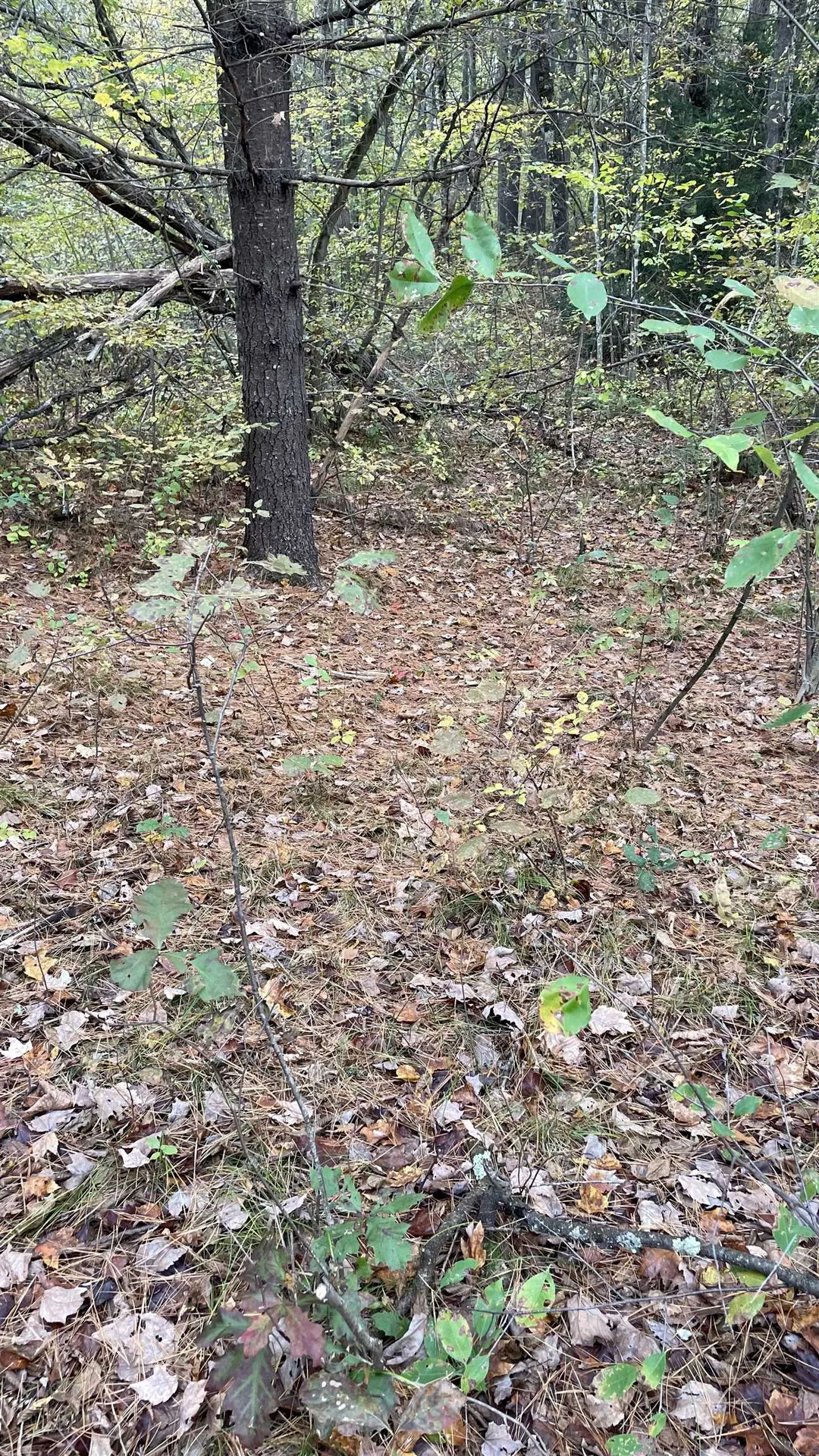 91 Whittemore Road Pembroke NH 03275