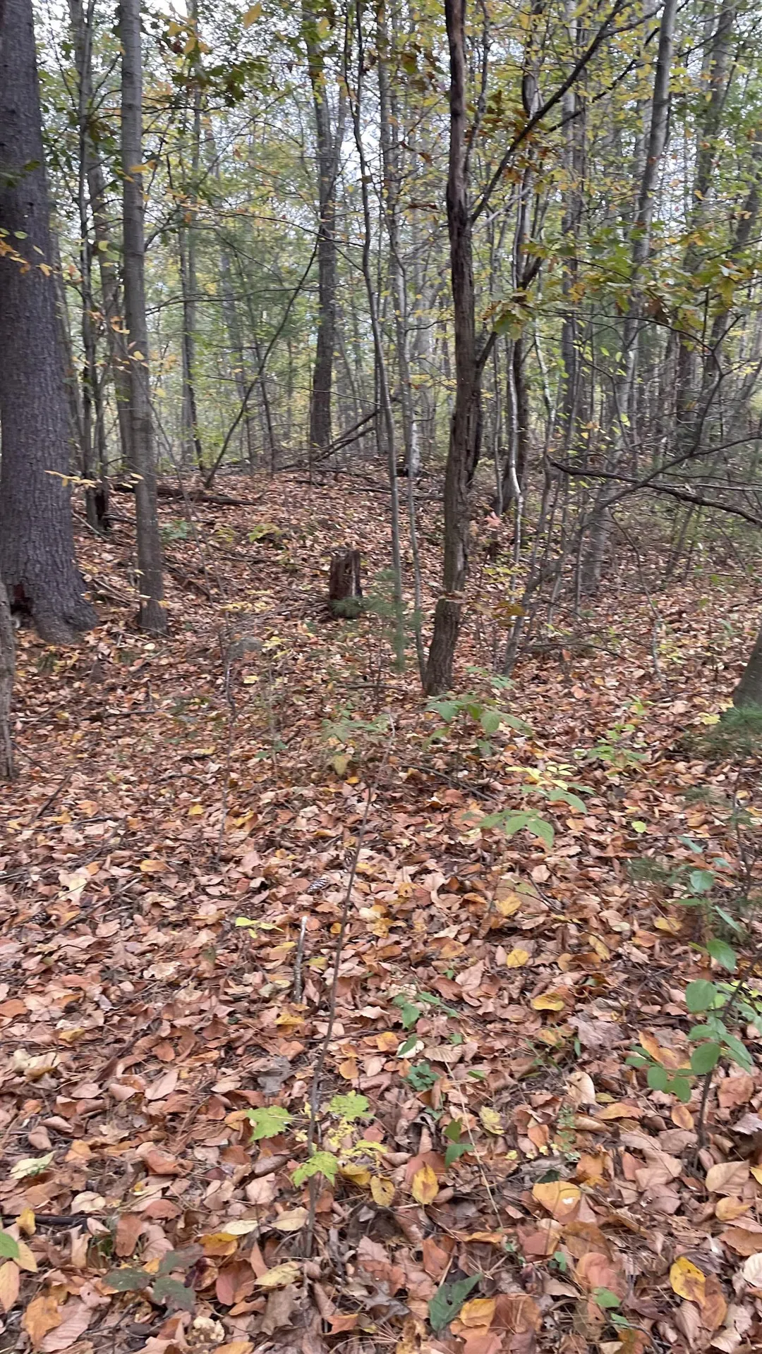 91 Whittemore Road Pembroke NH 03275