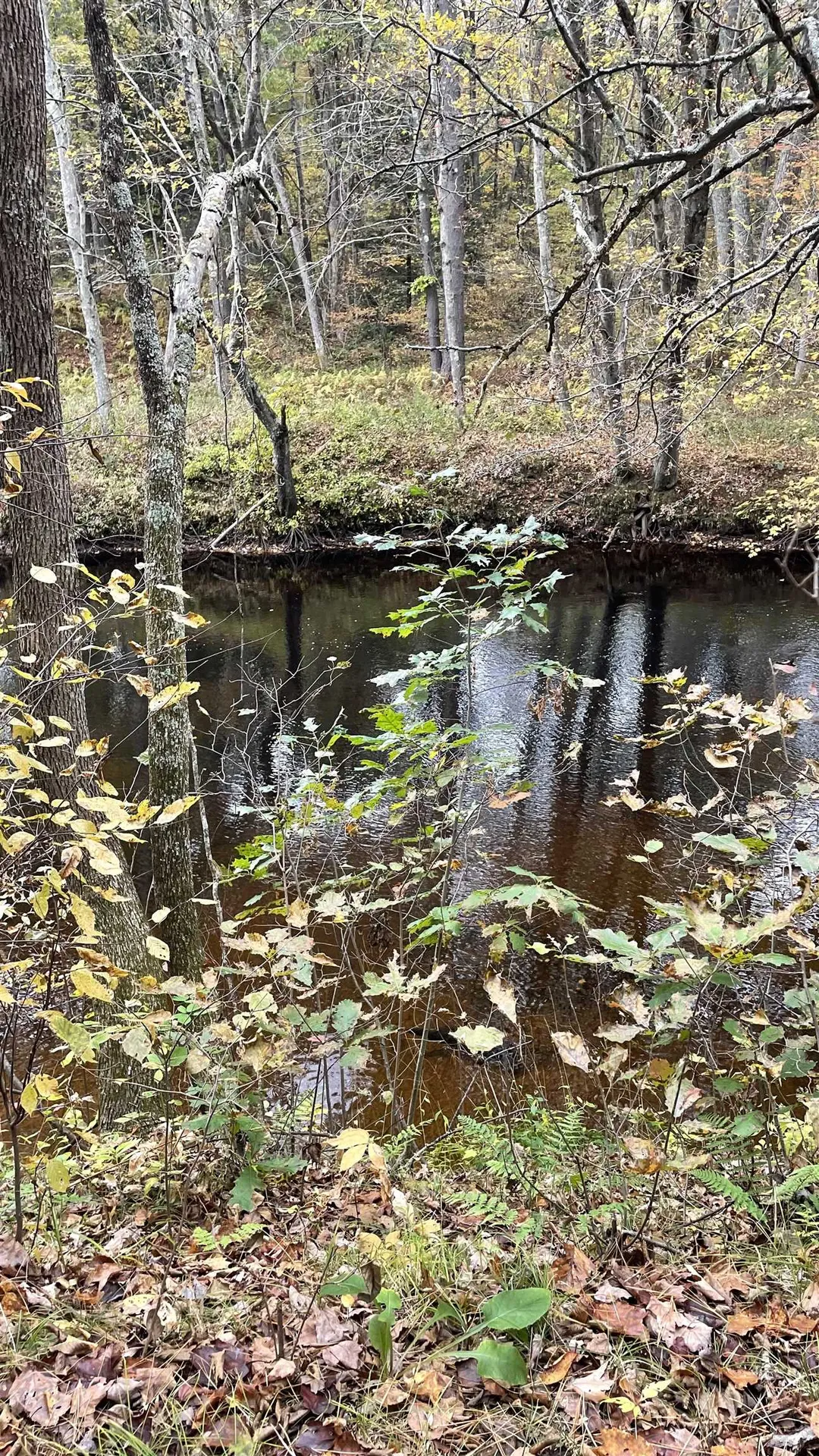 91 Whittemore Road Pembroke NH 03275