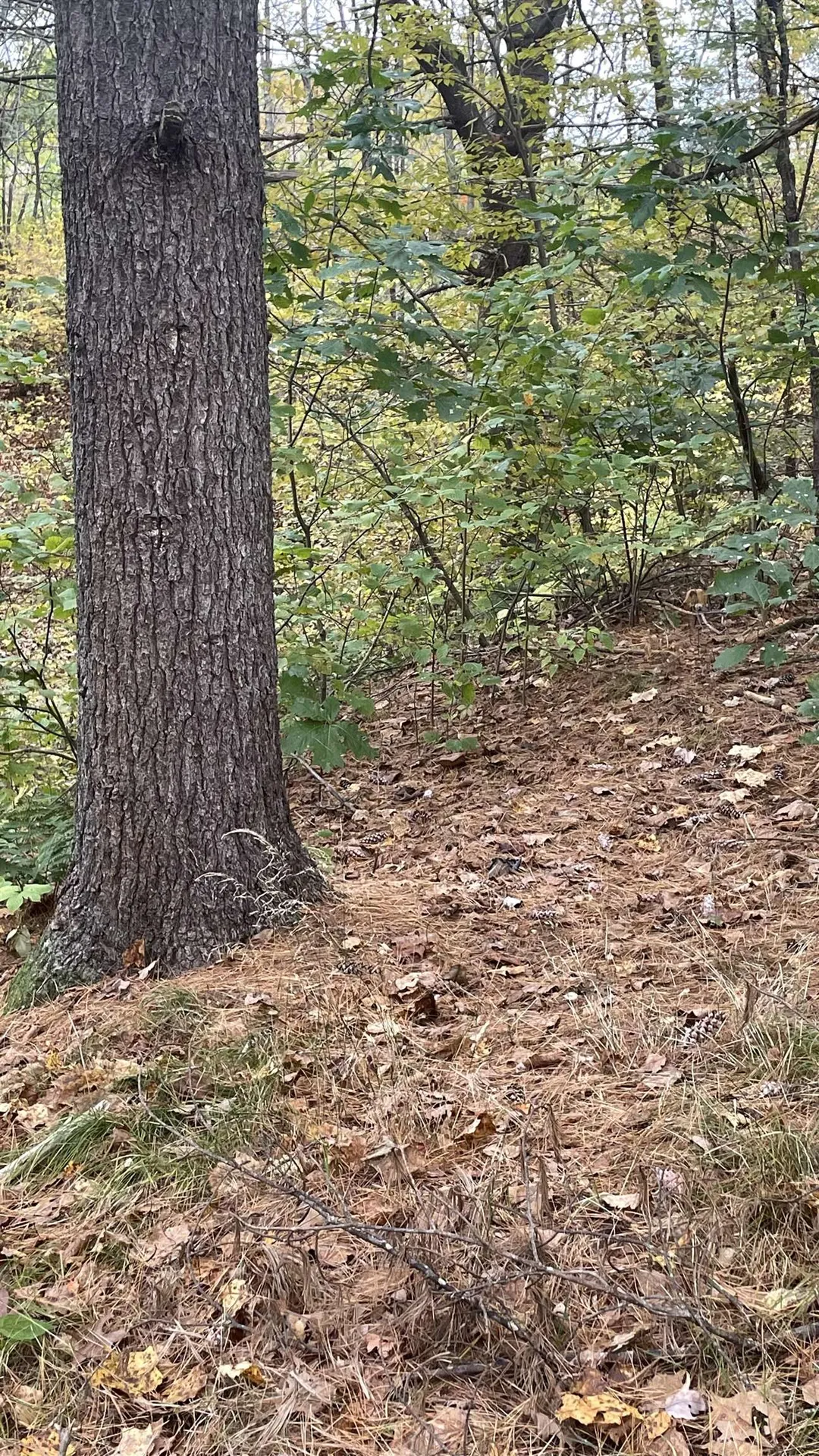 91 Whittemore Road Pembroke NH 03275