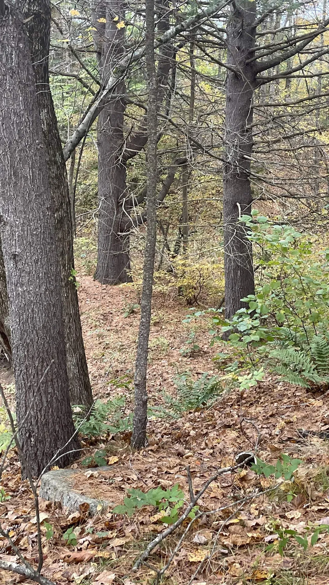 91 Whittemore Road Pembroke NH 03275