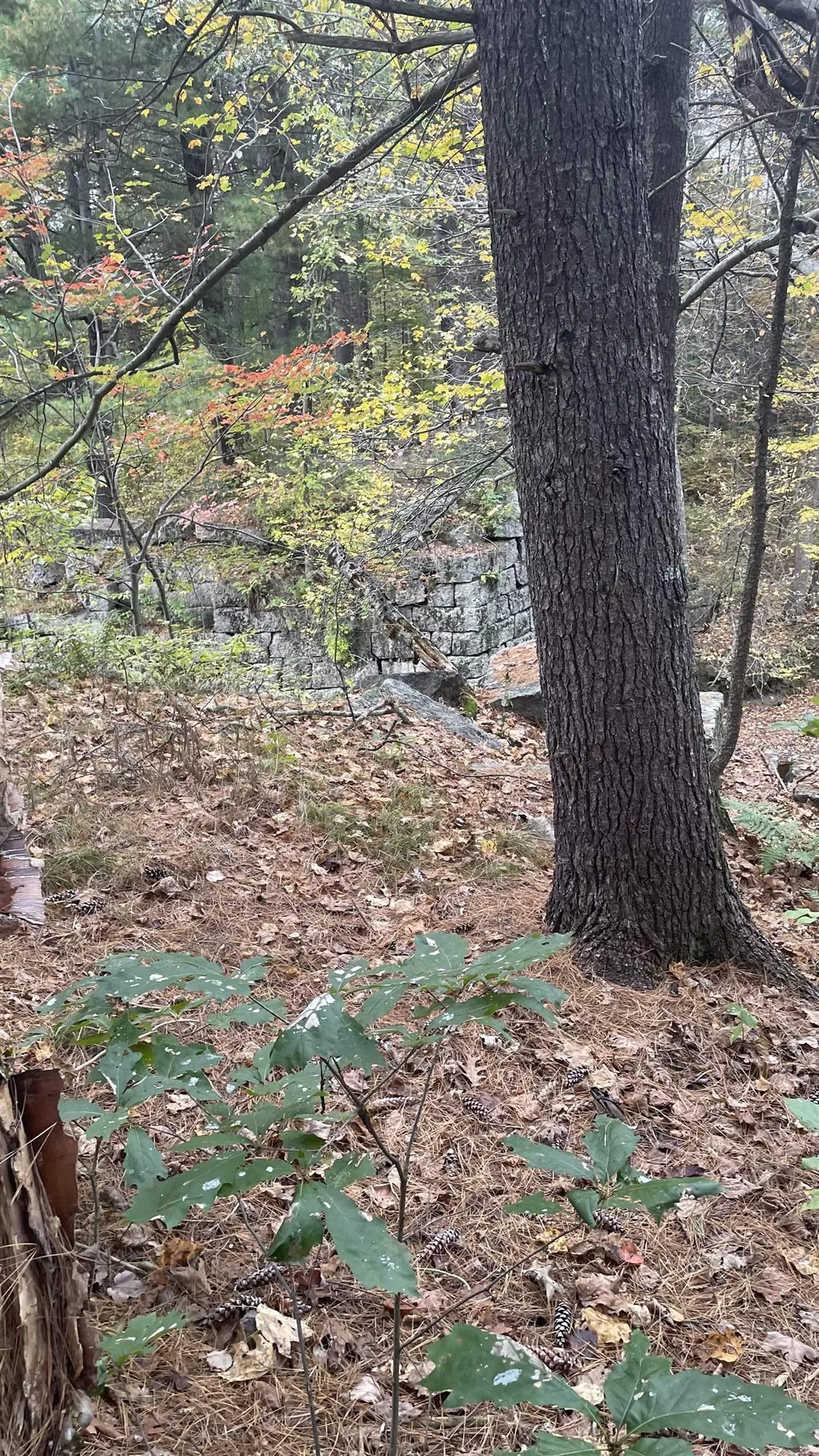 91 Whittemore Road Pembroke NH 03275