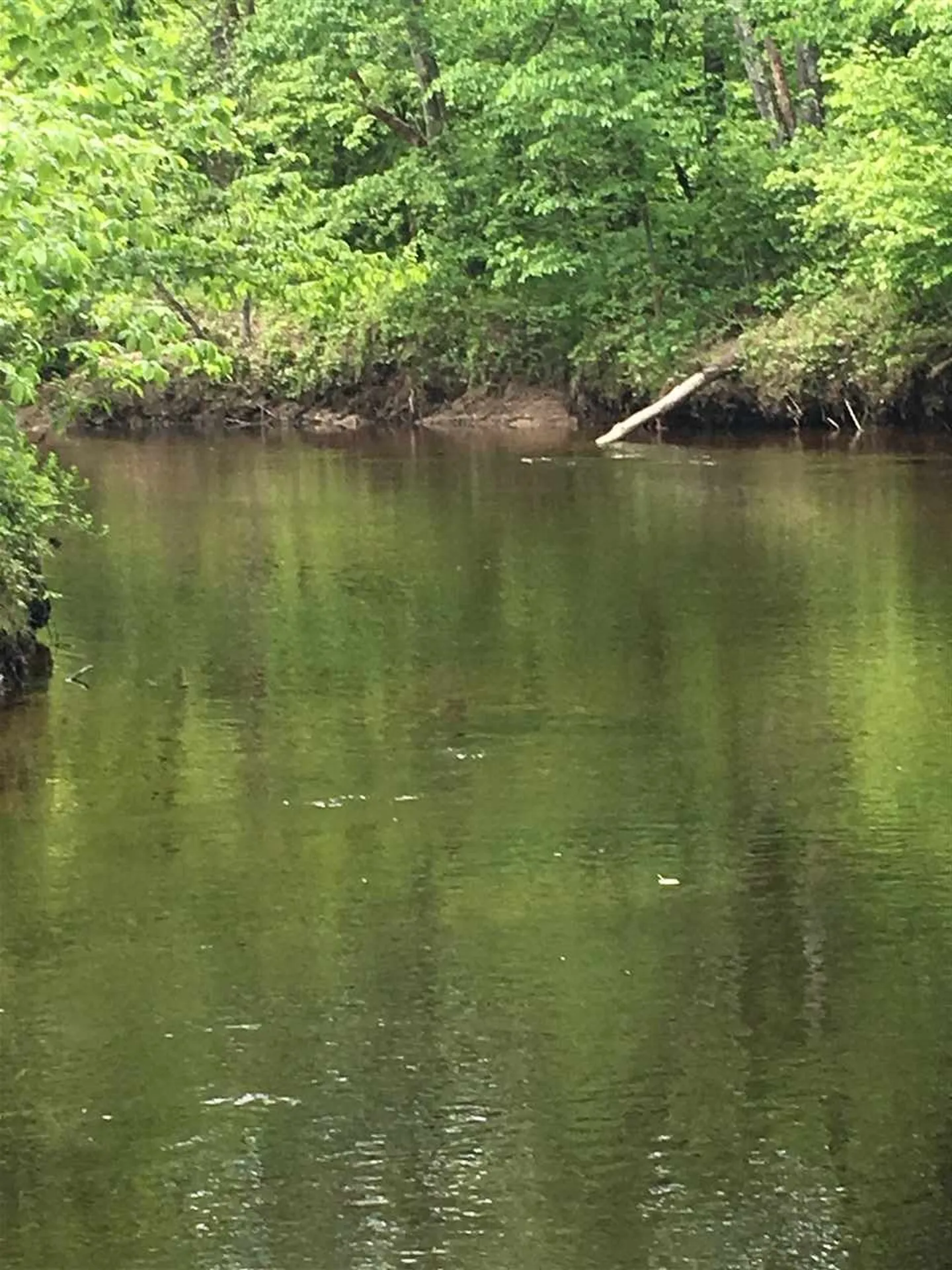 91 Whittemore Road Pembroke NH 03275