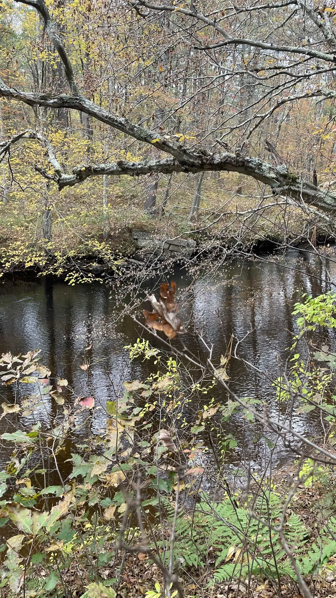 91 Whittemore Road Pembroke NH 03275