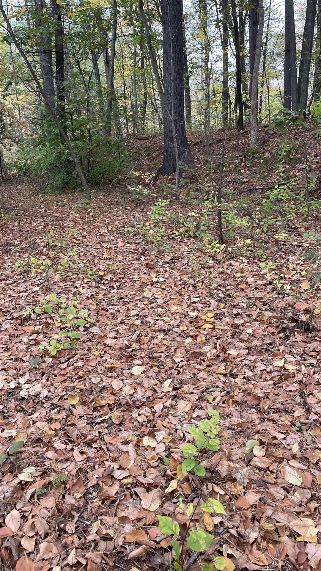 91 Whittemore Road Pembroke NH 03275