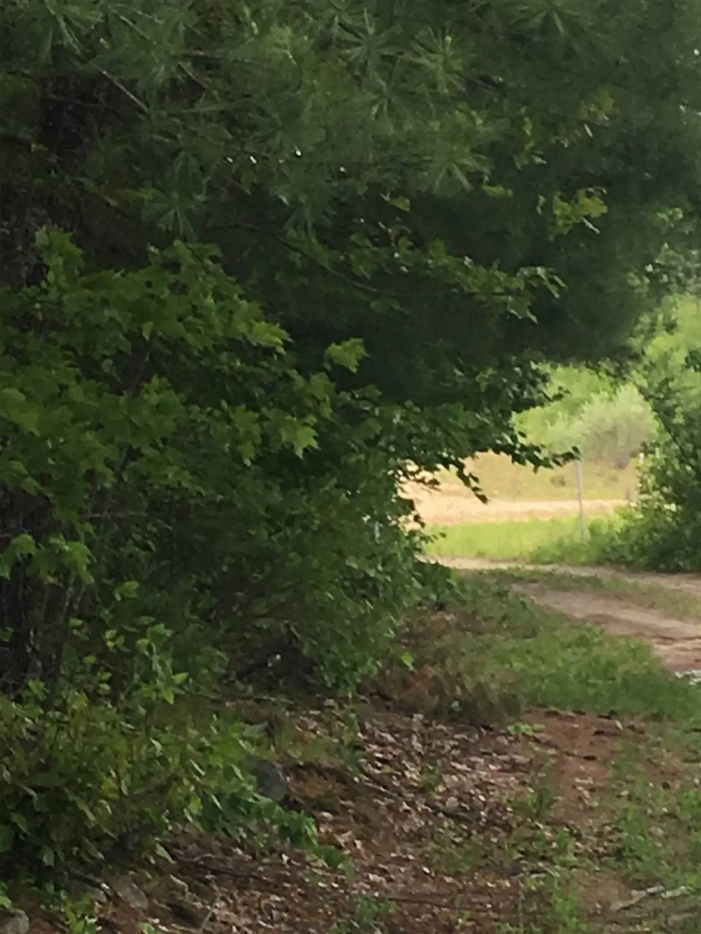 91 Whittemore Road Pembroke NH 03275