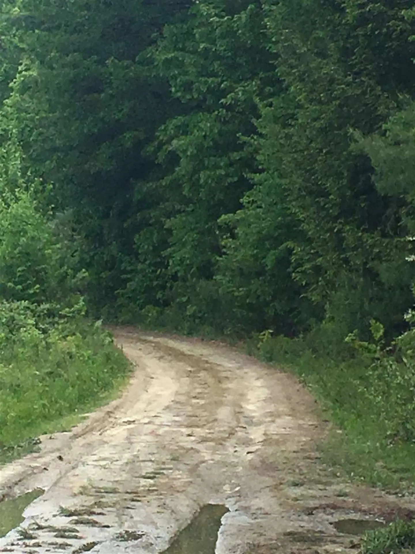 91 Whittemore Road Pembroke NH 03275