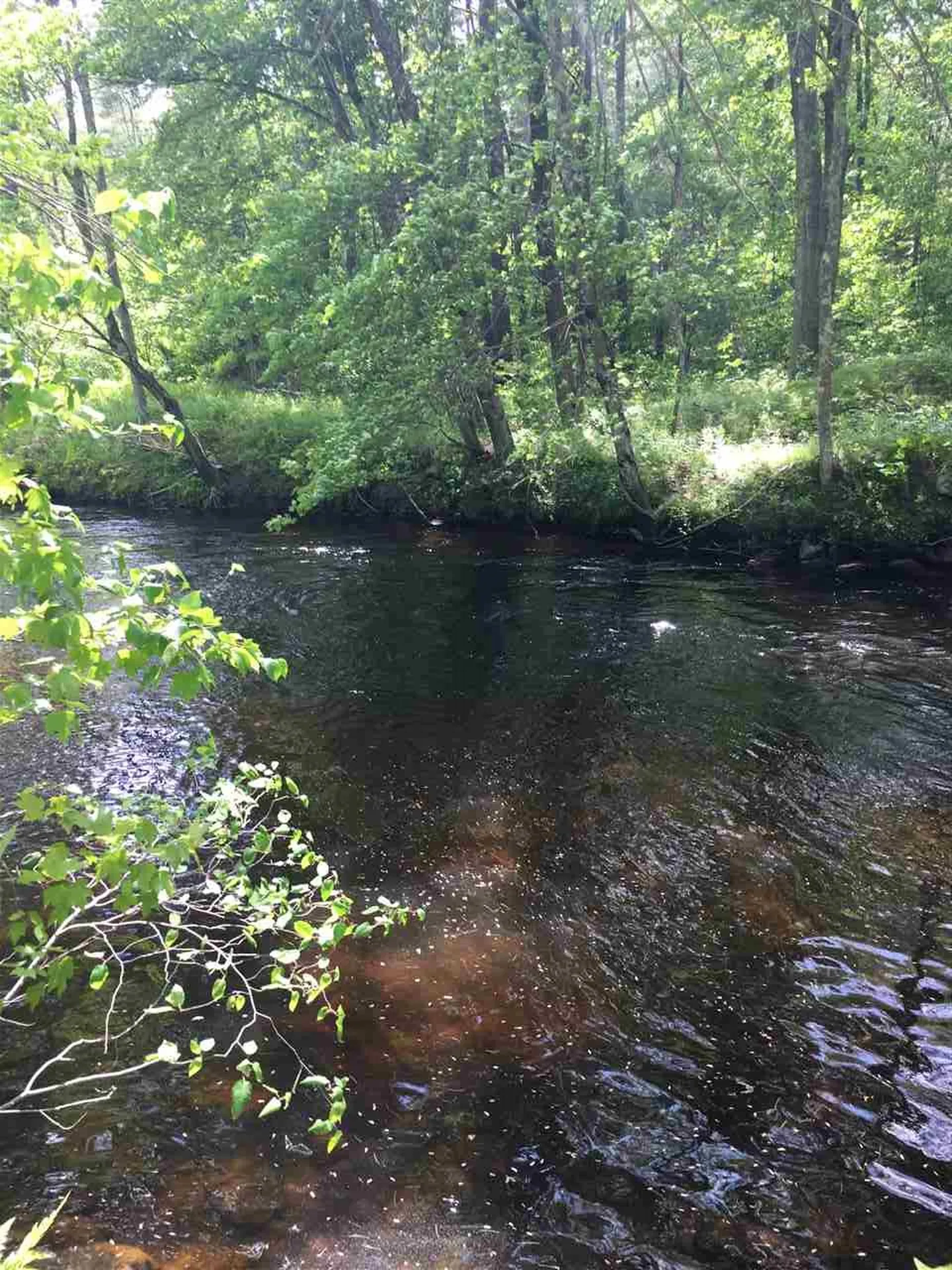 91 Whittemore Road Pembroke NH 03275