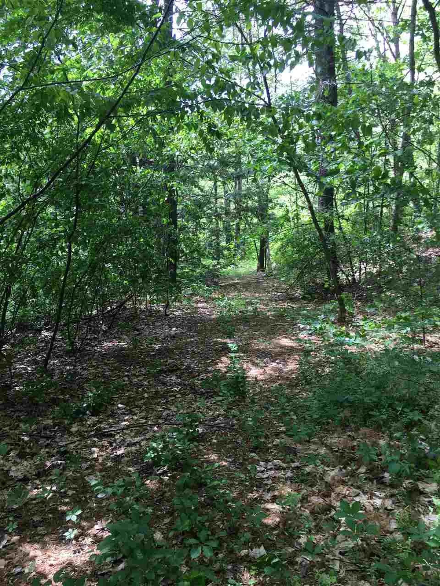 91 Whittemore Road Pembroke NH 03275