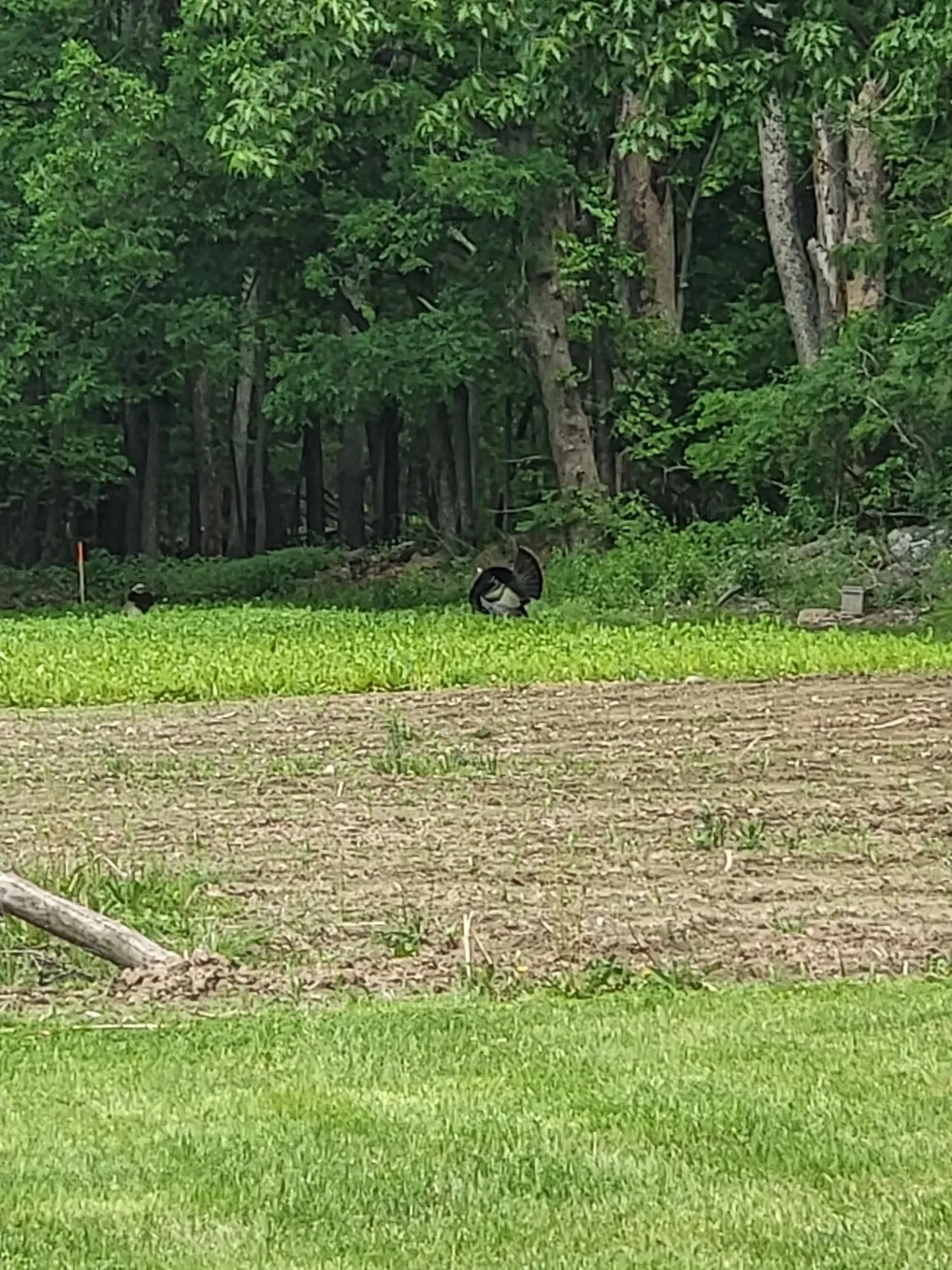 632 Salmon Falls Road Rochester NH 03868