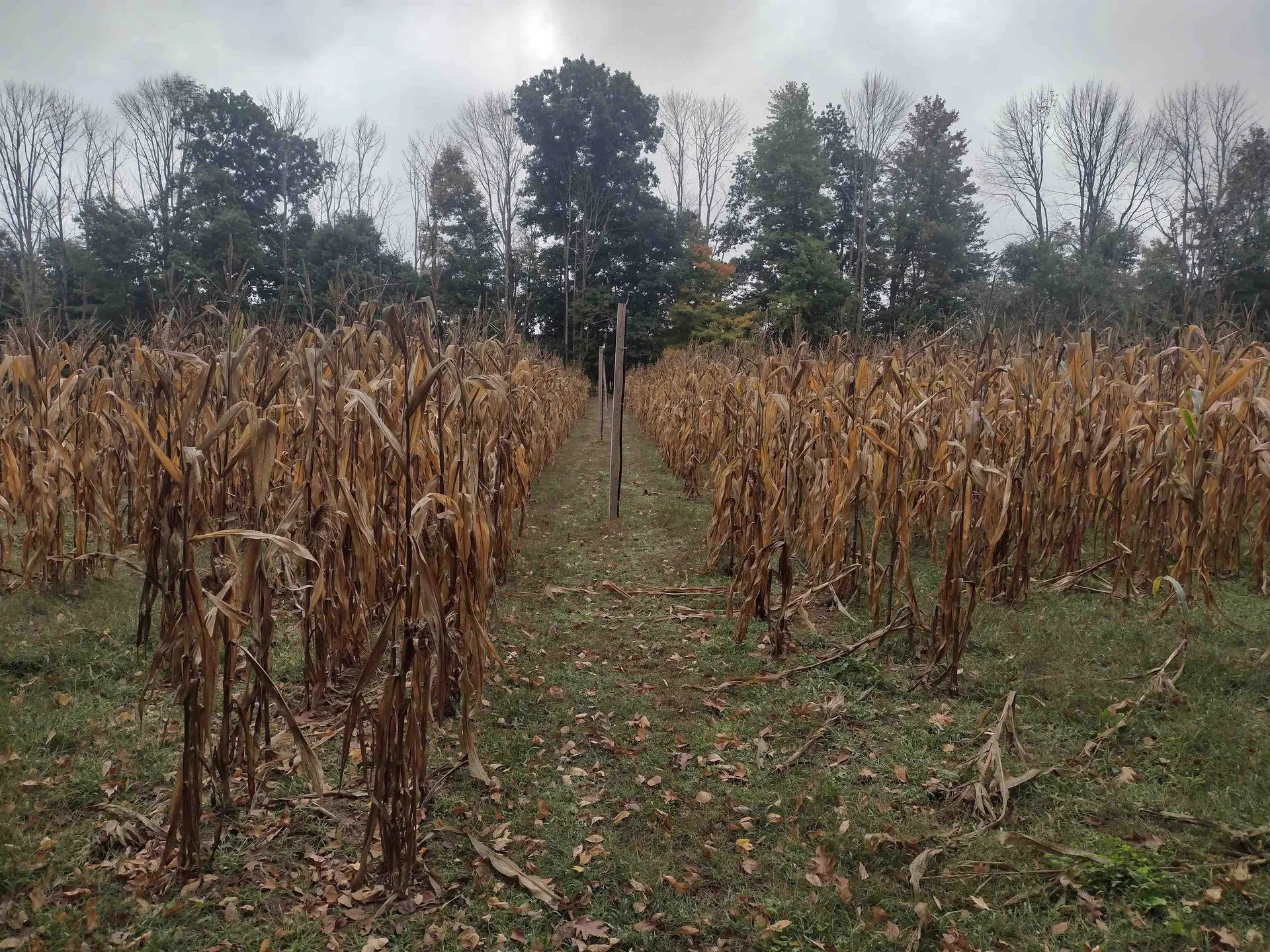 632 Salmon Falls Road Rochester NH 03868