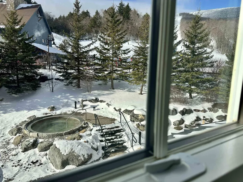 102 Forest 235 / Ii Drive Warren VT 05674