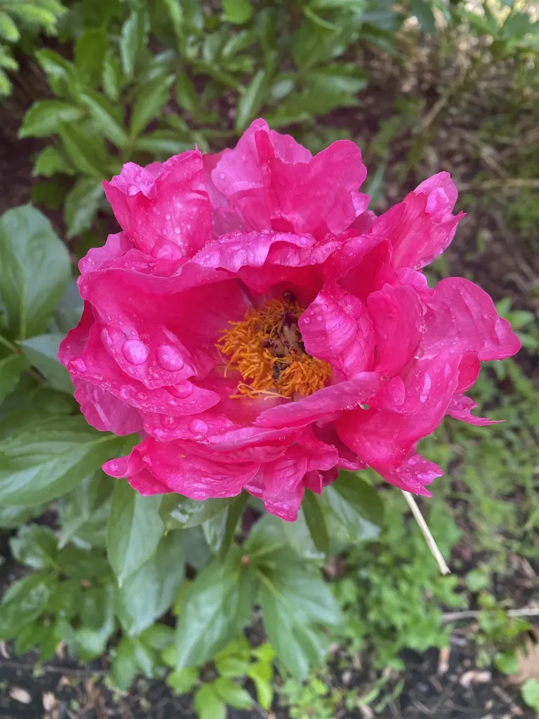 170 Varney Road Dover NH 03820