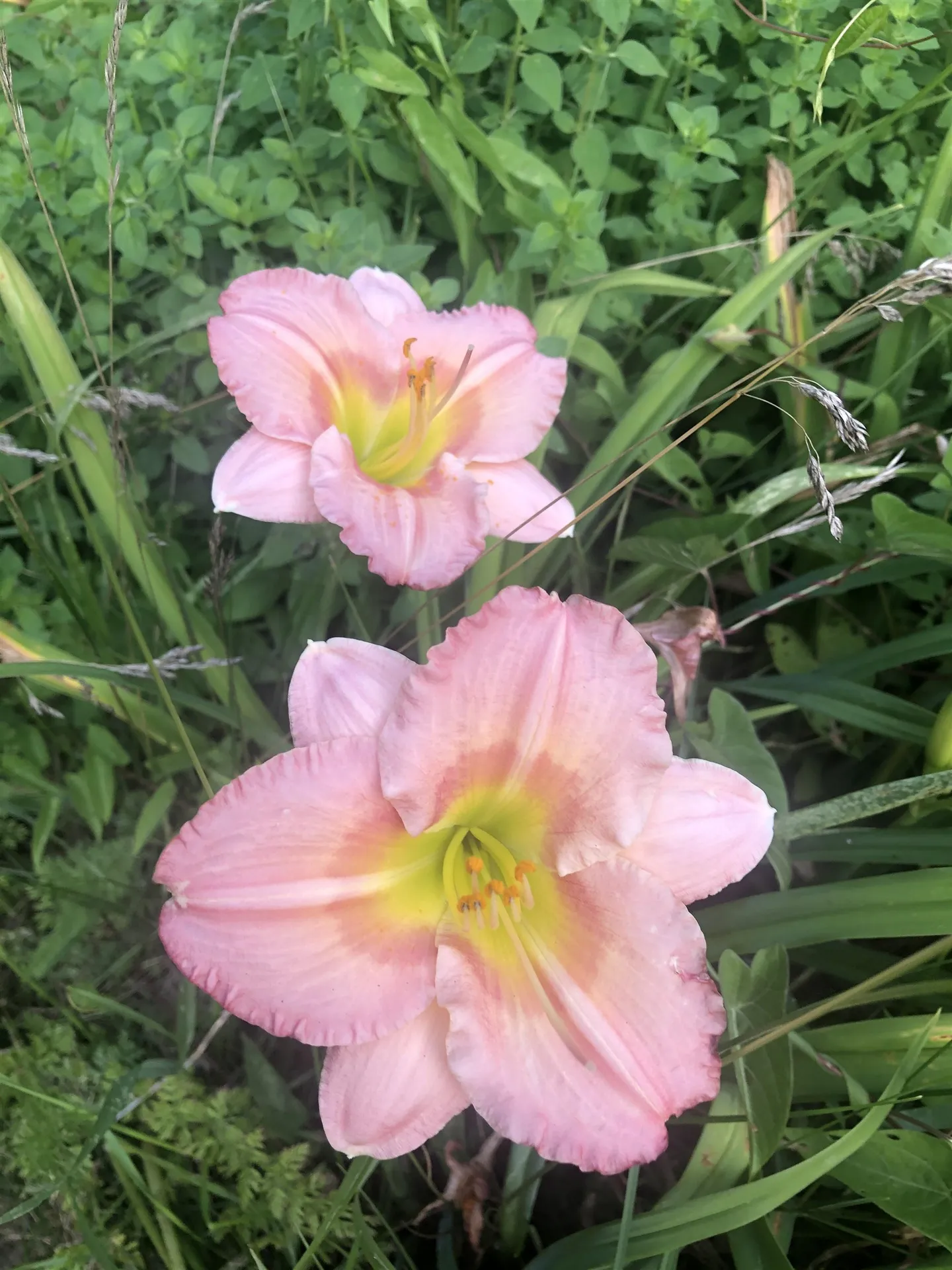 170 Varney Road Dover NH 03820