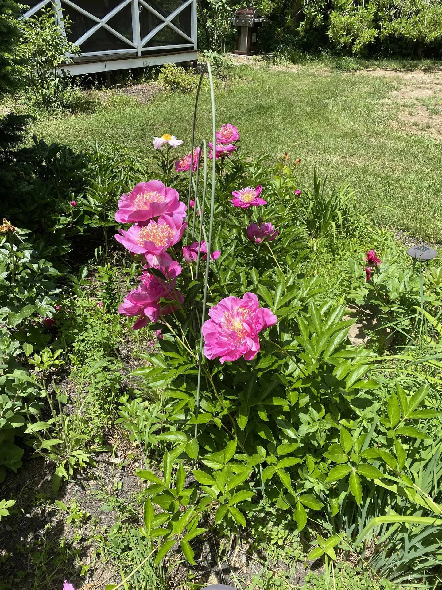 170 Varney Road Dover NH 03820