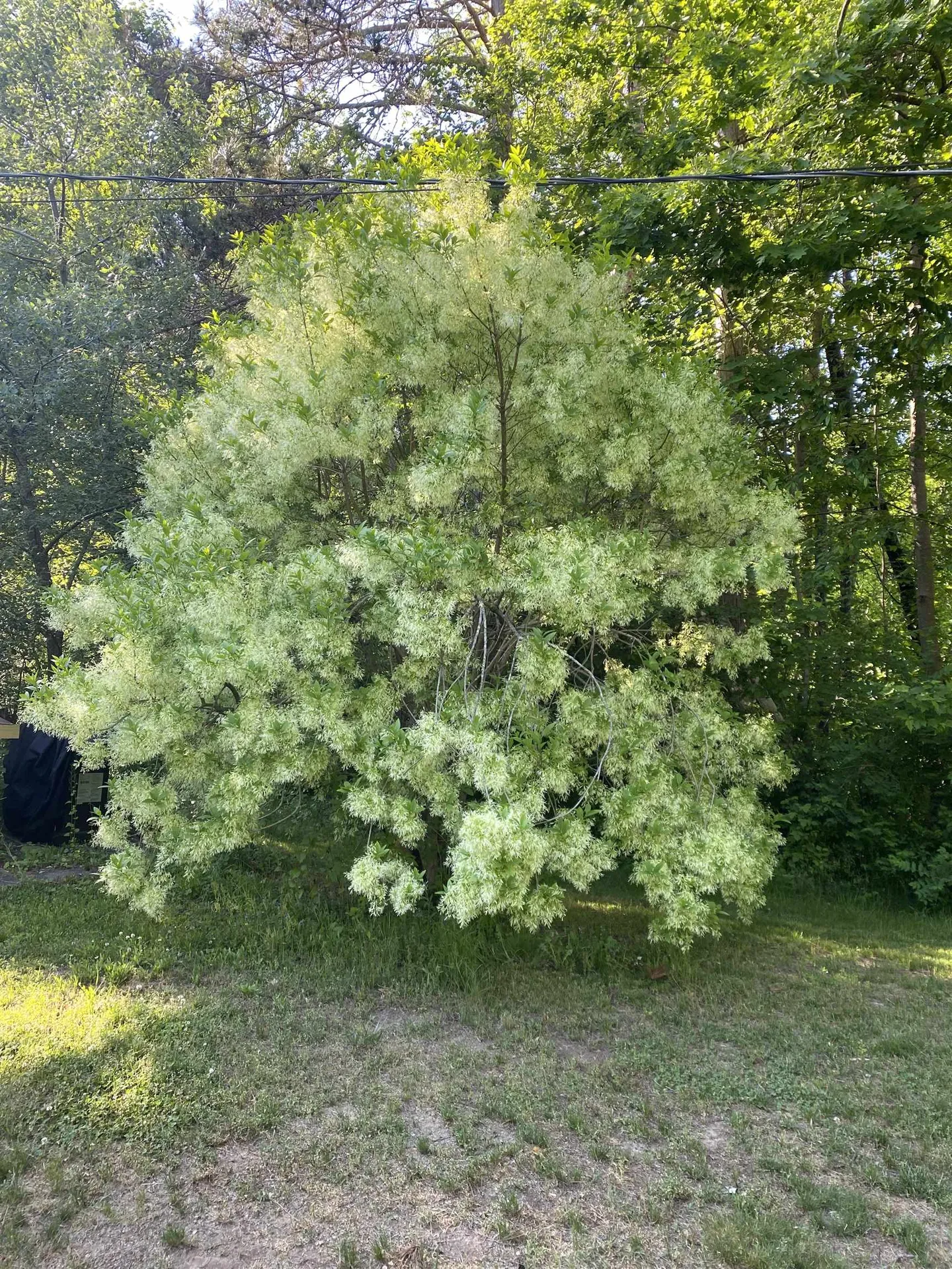 170 Varney Road Dover NH 03820