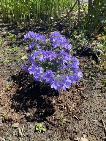 170 Varney Road Dover NH 03820