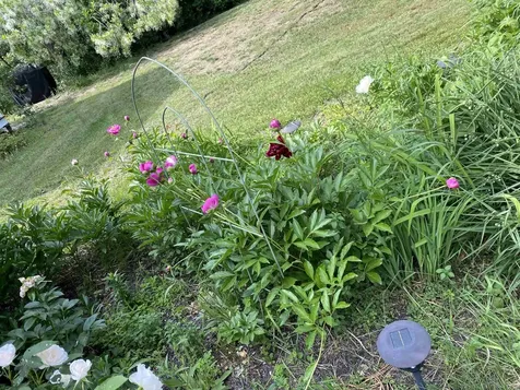 170 Varney Road Dover NH 03820