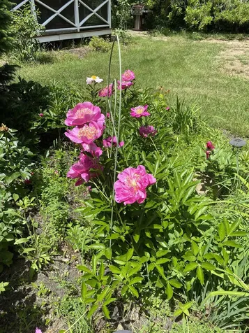 170 Varney Road Dover NH 03820