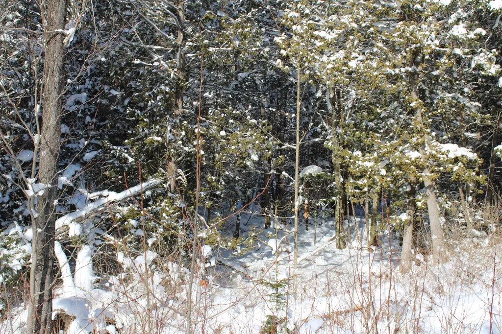 000 Gore Road Holland VT 05830