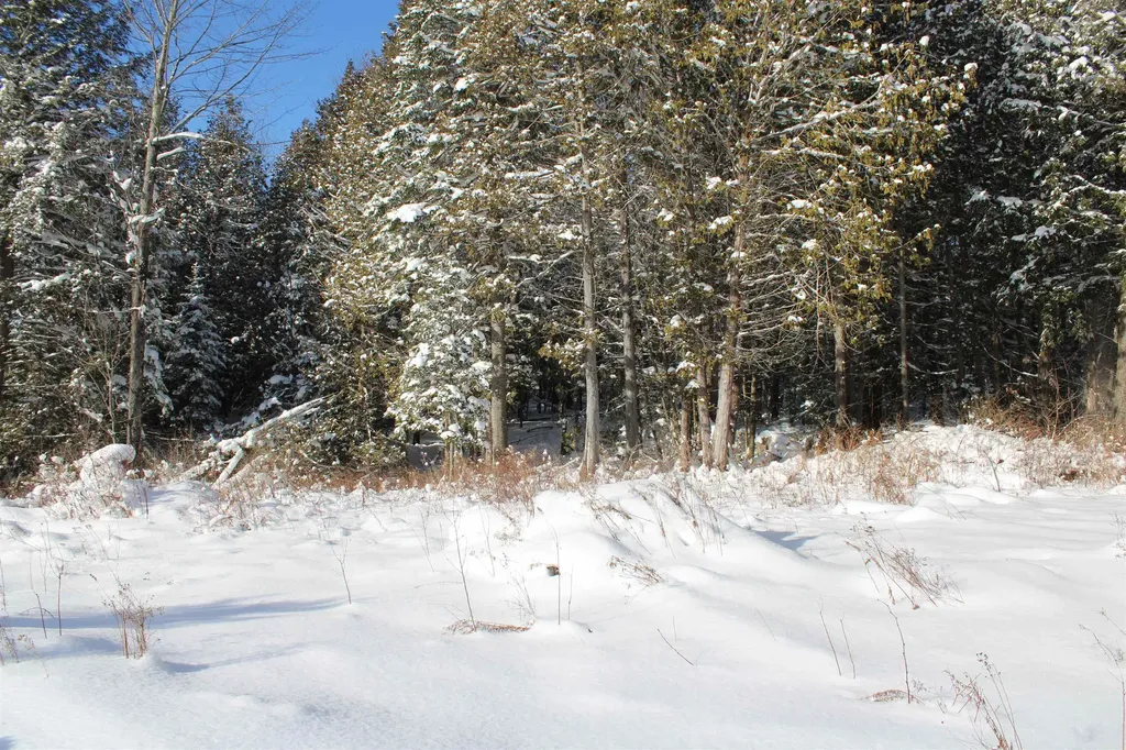 000 Gore Road Holland VT 05830