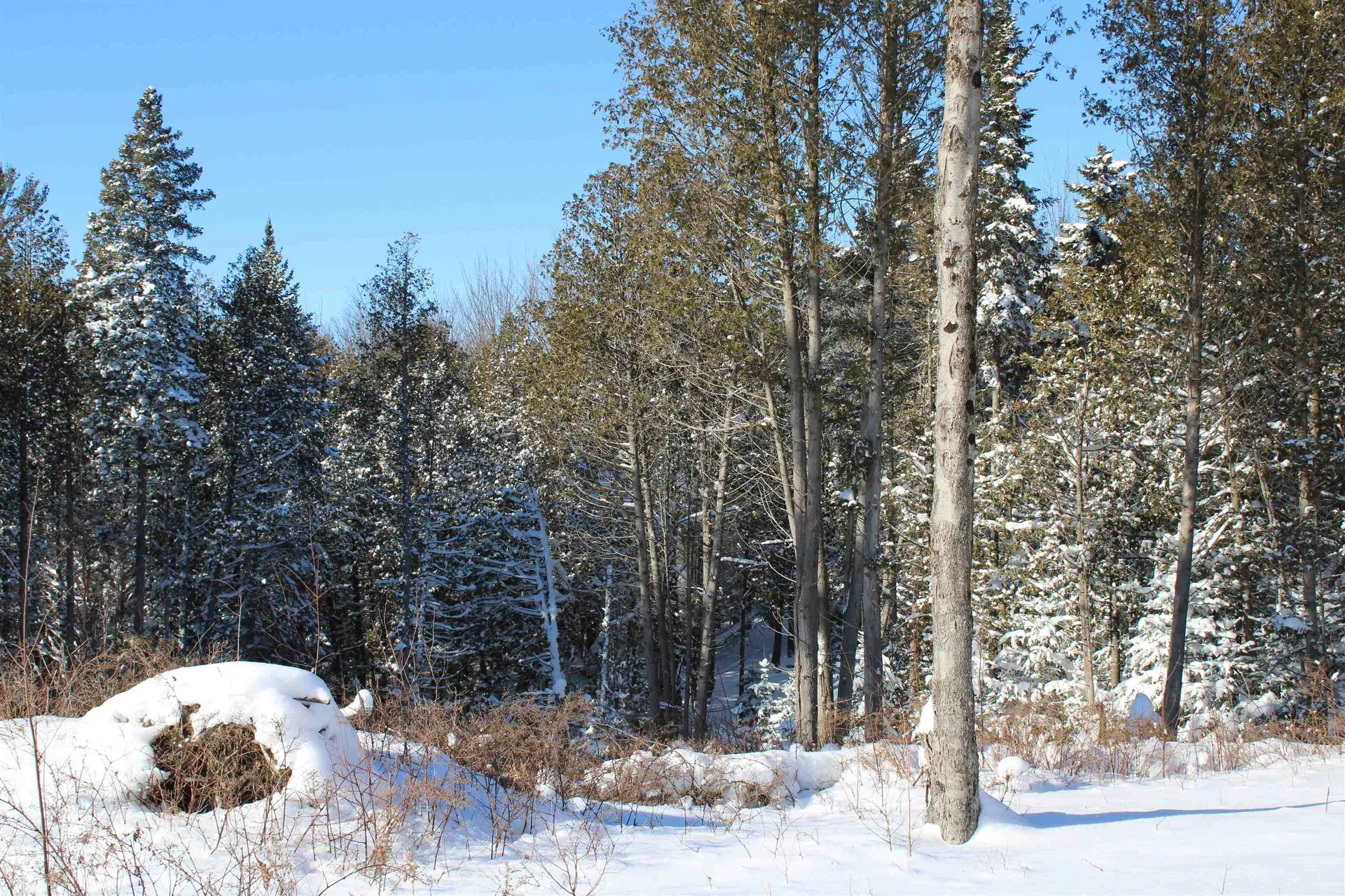 000 Gore Road Holland VT 05830