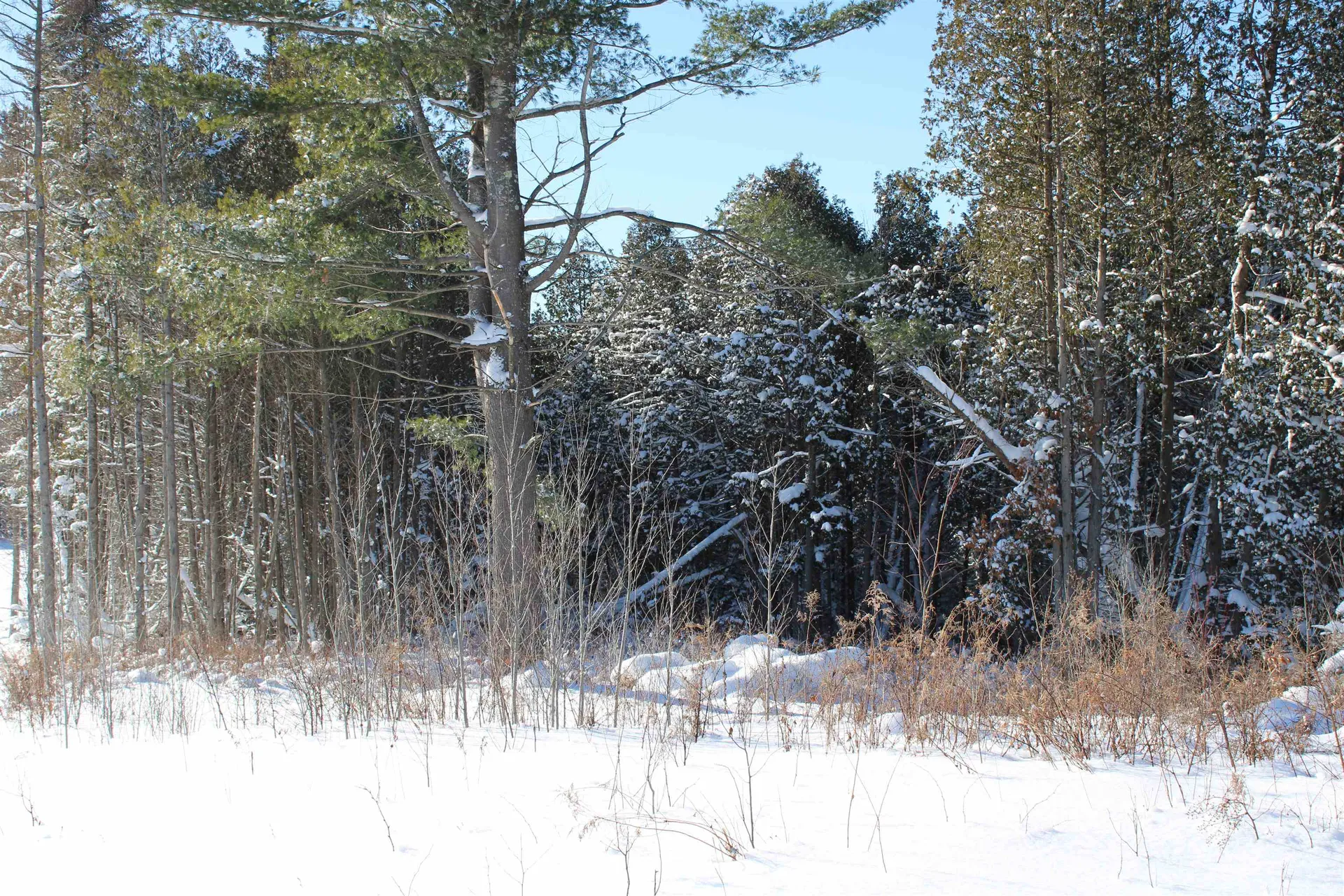 000 Gore Road Holland VT 05830