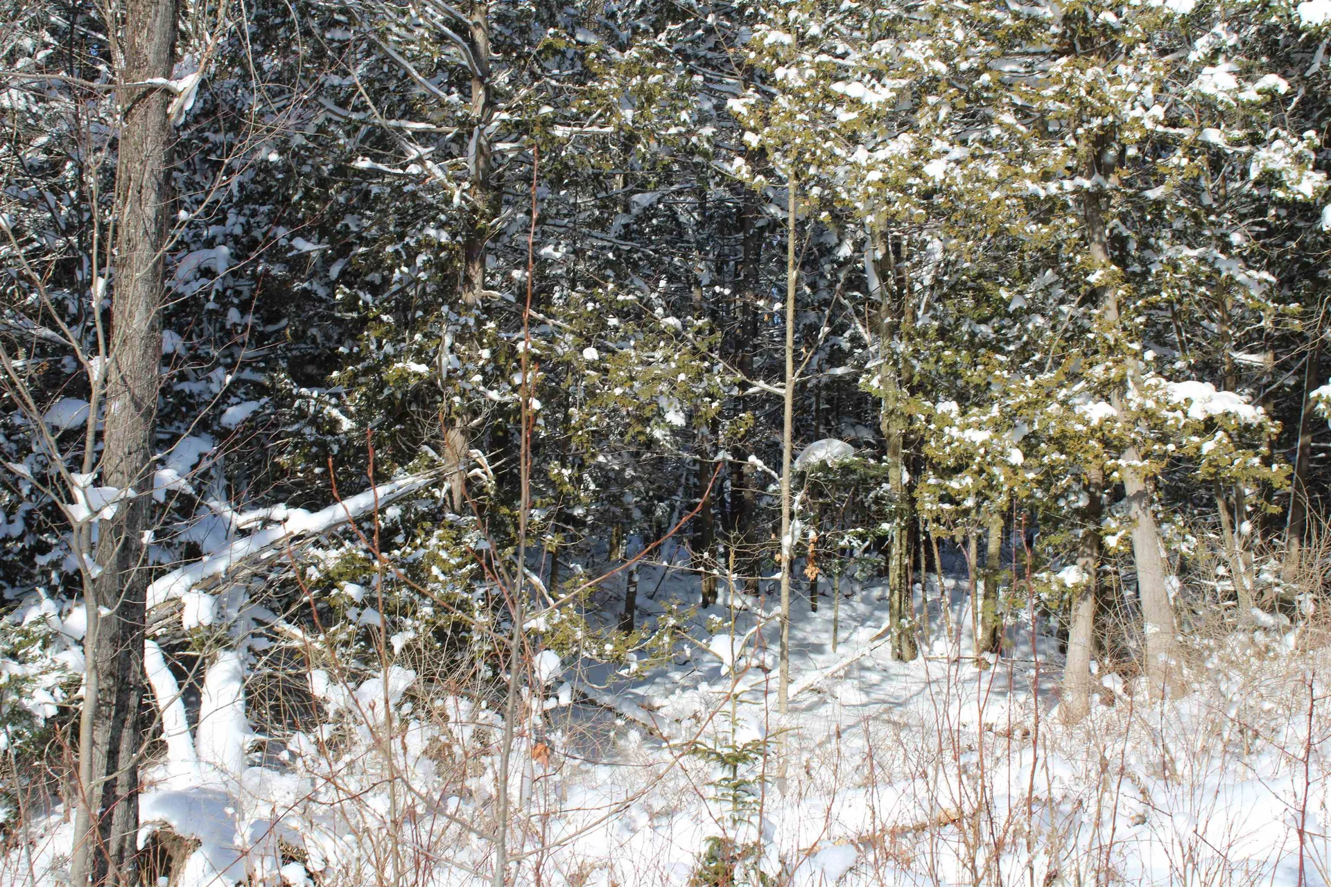 000 Gore Road Holland VT 05830