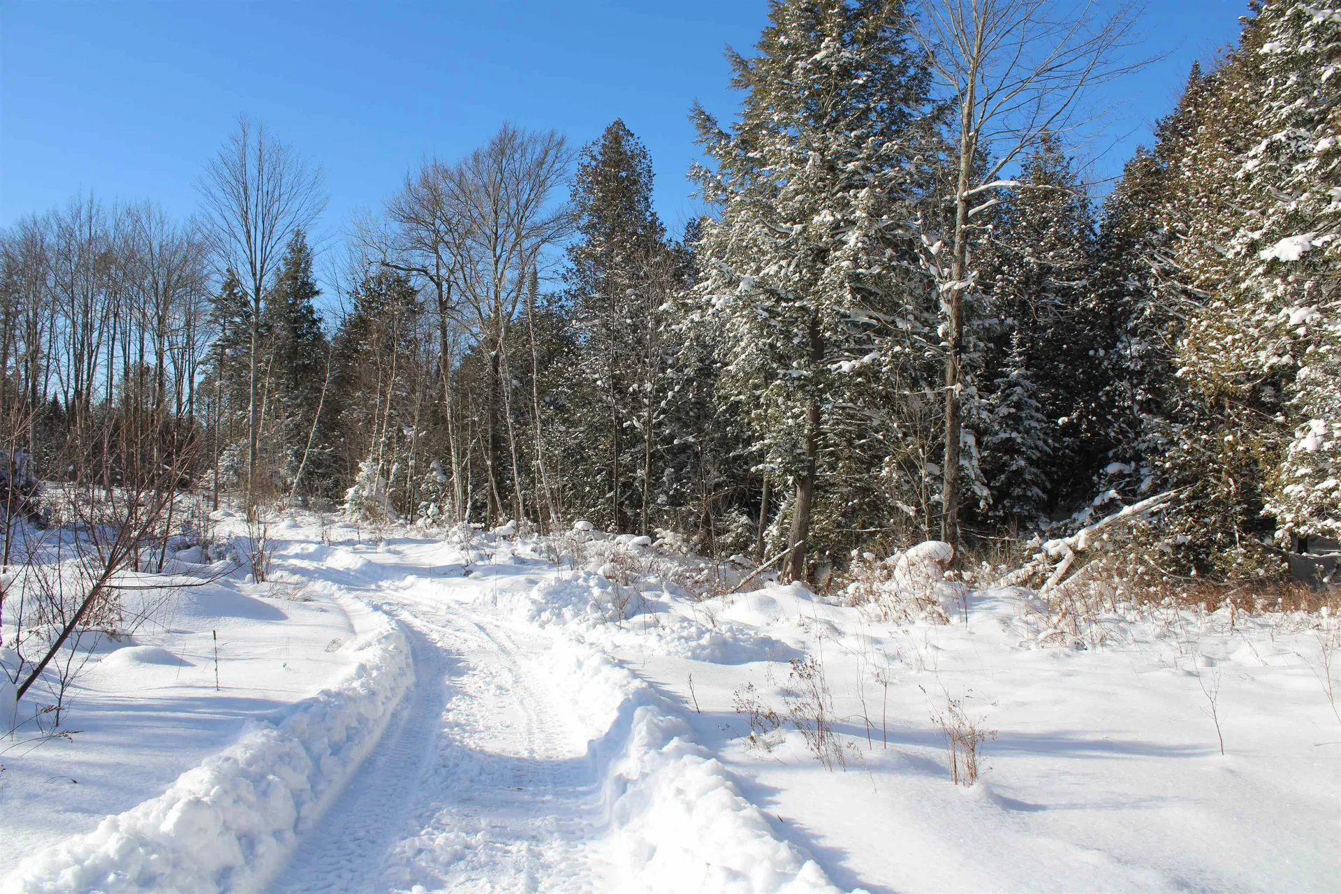 000 Gore Road Holland VT 05830