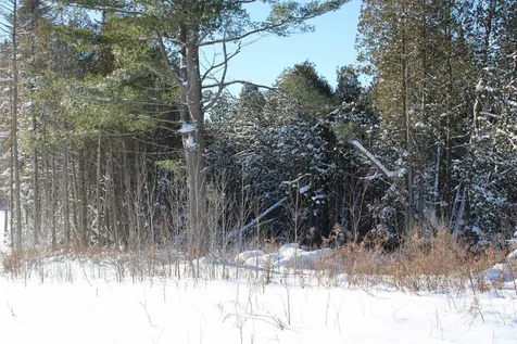 000 Gore Road Holland VT 05830