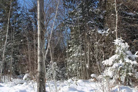 000 Gore Road Holland VT 05830