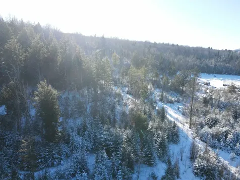 1347 Roaring Brook Road Barton VT 05822