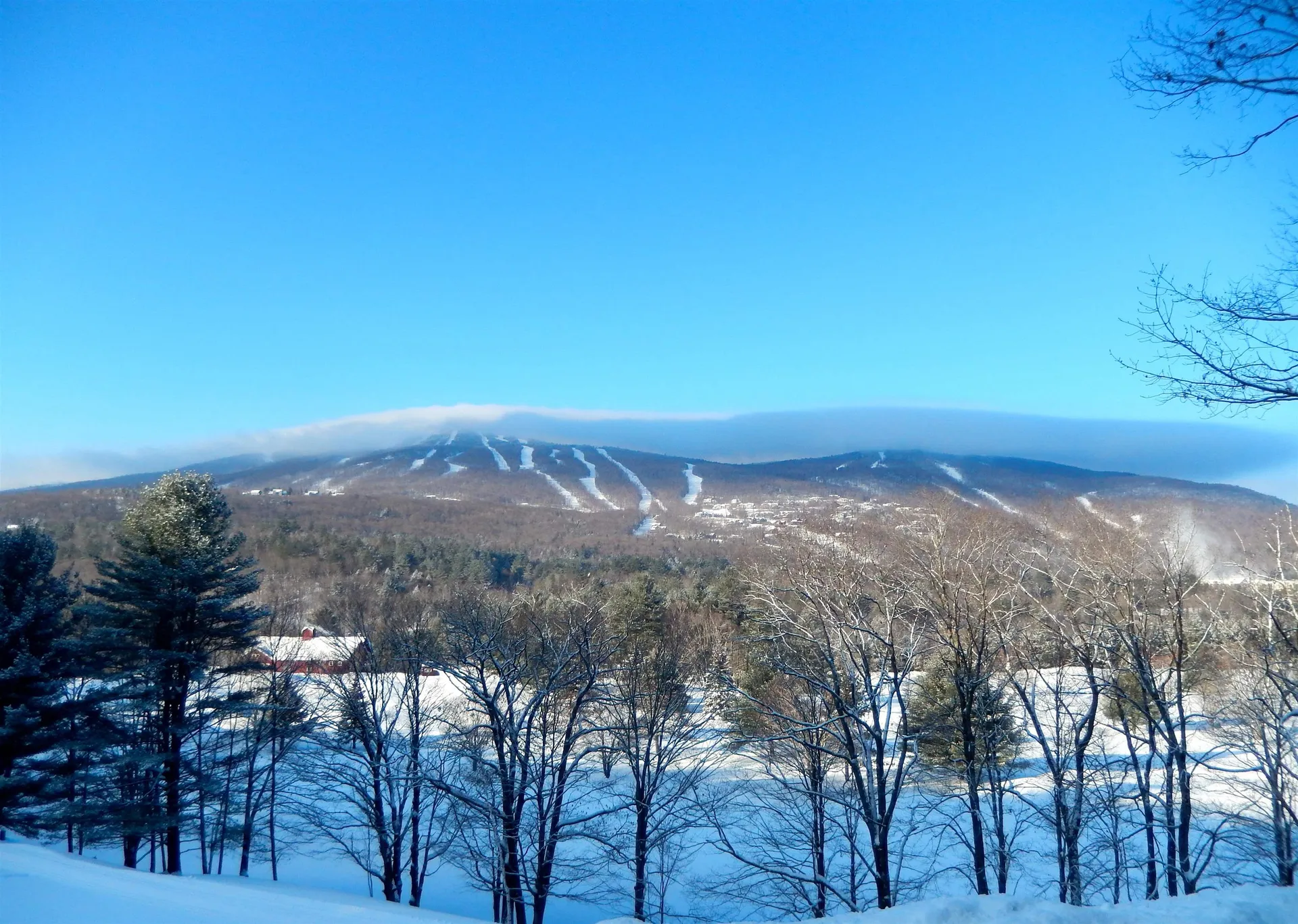 Lot 51 Partridge Road Ludlow VT 05149