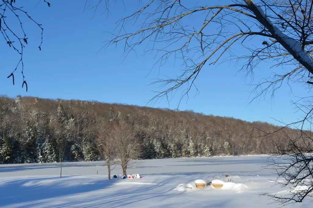 16 Bay Tree Lane Grantham NH 03753